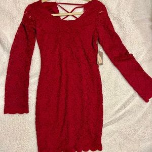 Lace long sleeve Bodycon dress midi